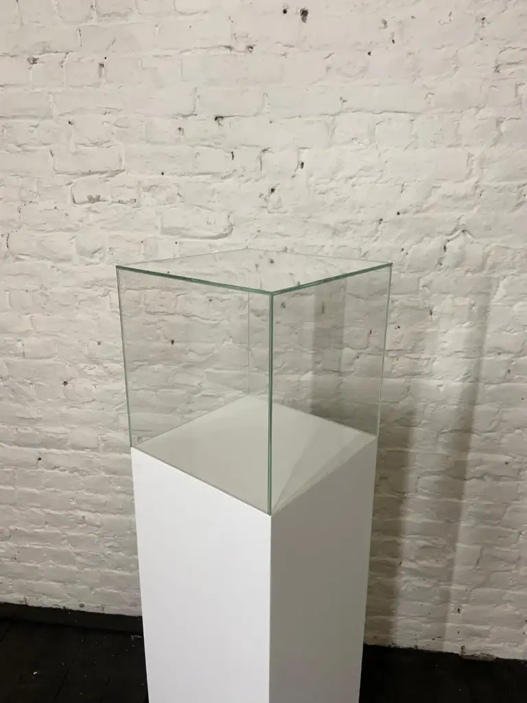 Beschermingschap in voorraad - H30/30/30 cm - Heel helder glas