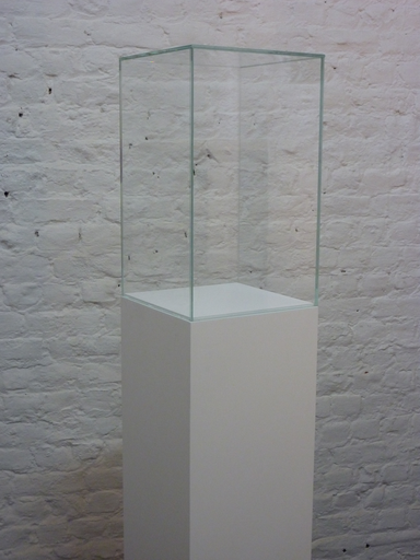 [P0219] Beschermingschap in voorraad - H50/30/30 cm - Glas